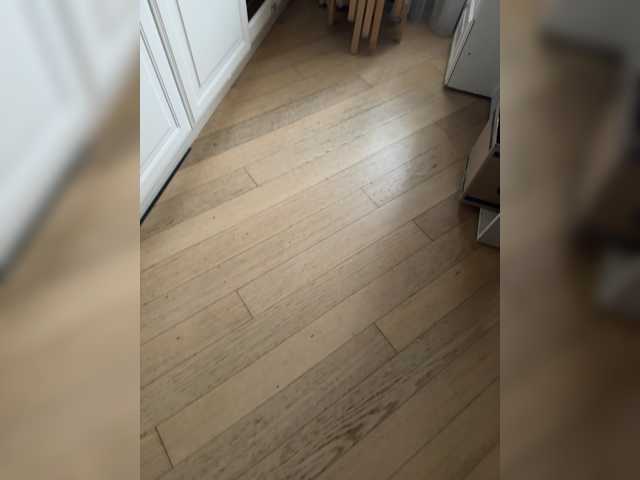 go to chat with Belladonna-5