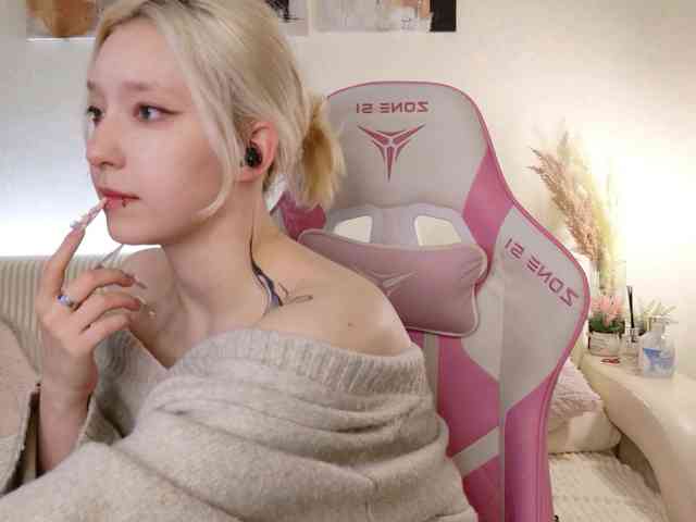 tinymia webcam