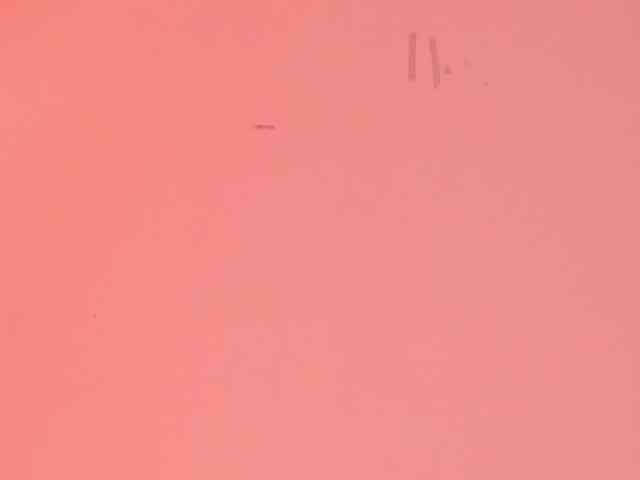 Pamela-Velvet webcam