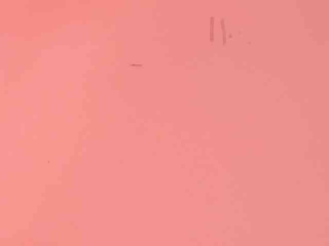 Pamela-Velvet webcam