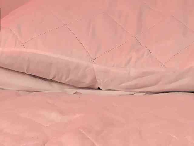 Pamela-Velvet webcam