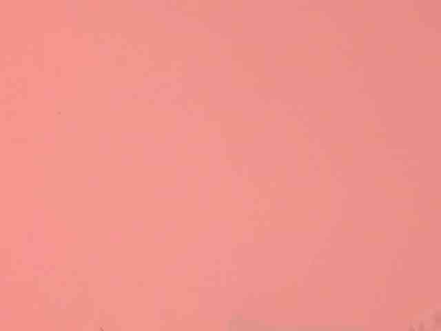 Pamela-Velvet webcam