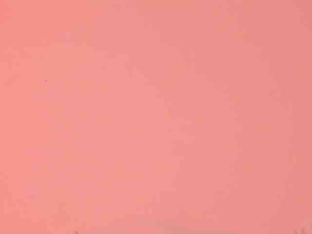 Pamela-Velvet webcam