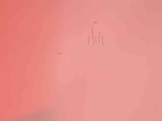 Pamela-Velvet webcam