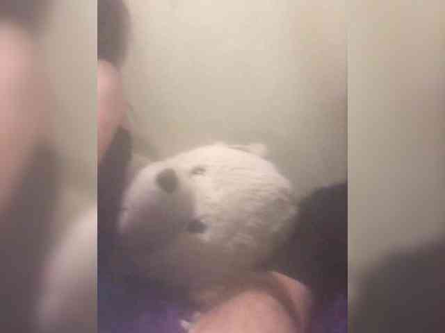 Mangopols webcam