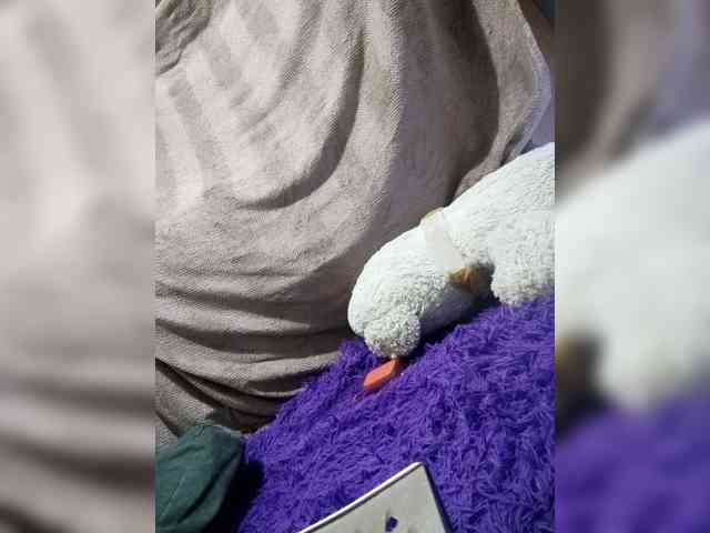 Mangopols webcam