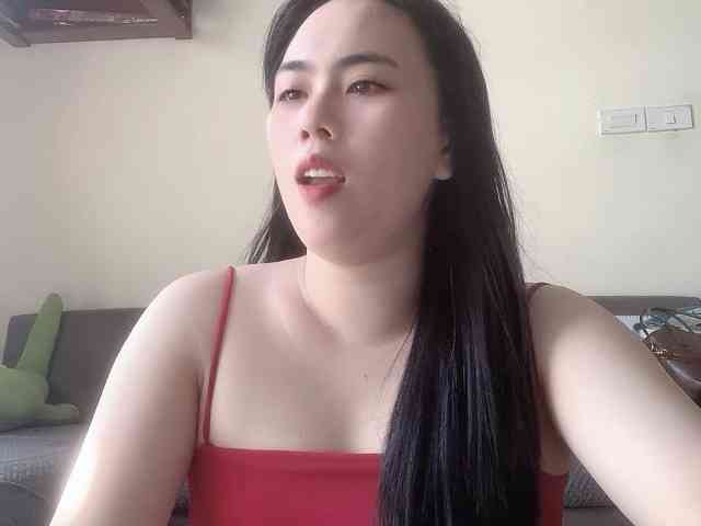 Vysa webcam
