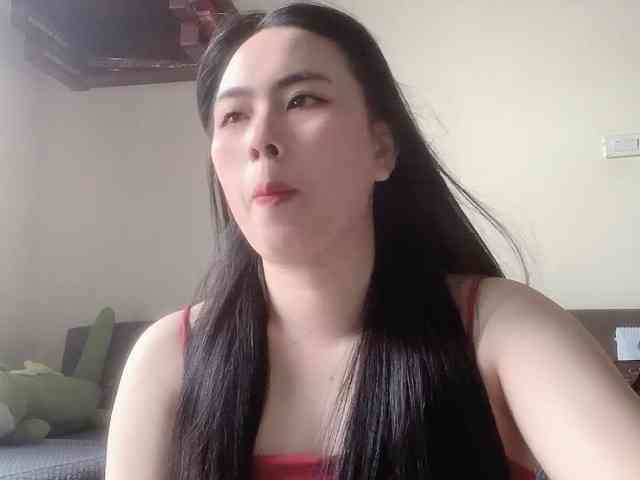 Vysa webcam