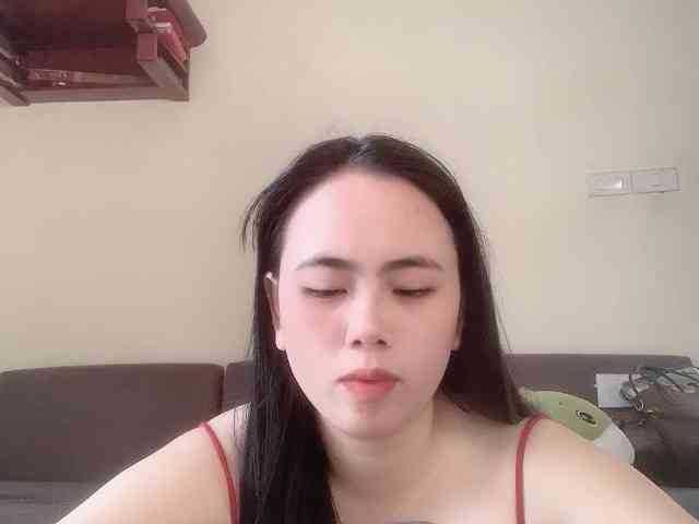 Vysa webcam