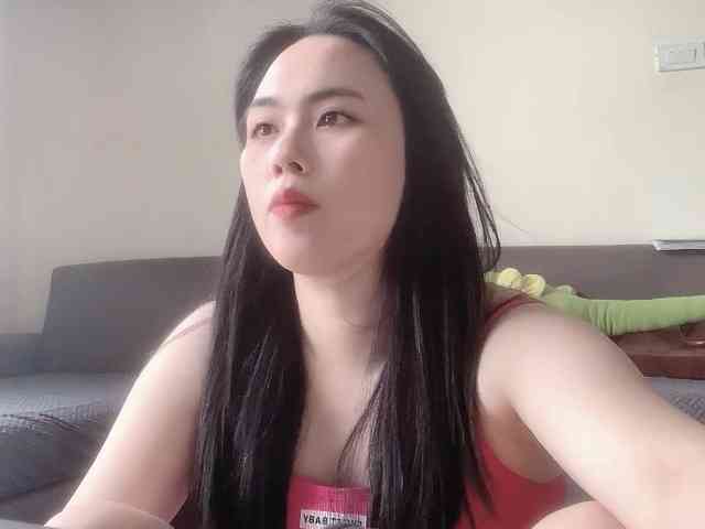 Vysa webcam