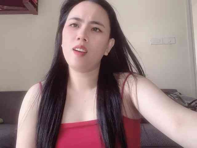 Vysa webcam