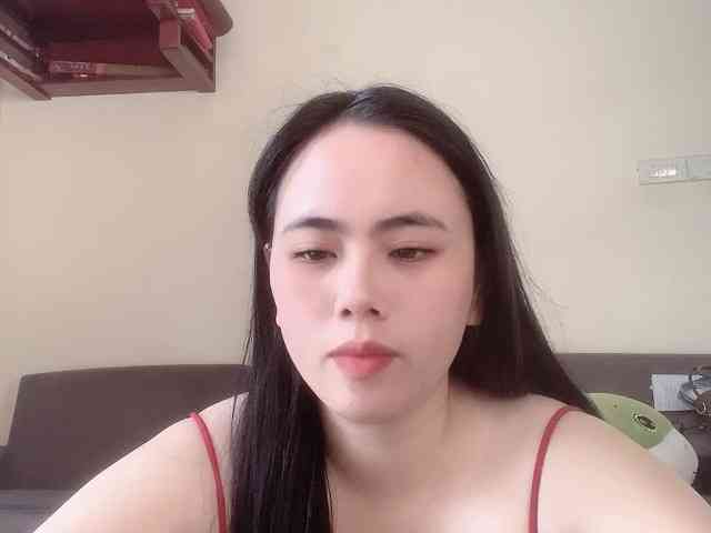 Vysa webcam