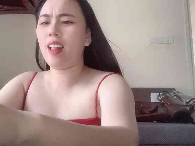 Vysa webcam