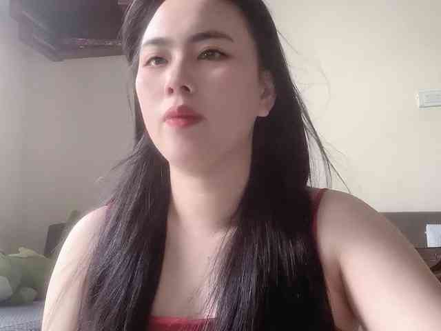 Vysa webcam
