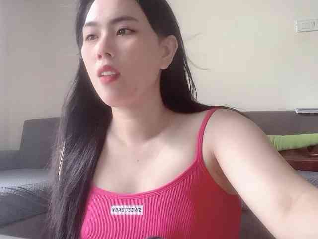 Vysa webcam