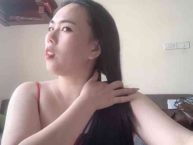 Vysa webcam