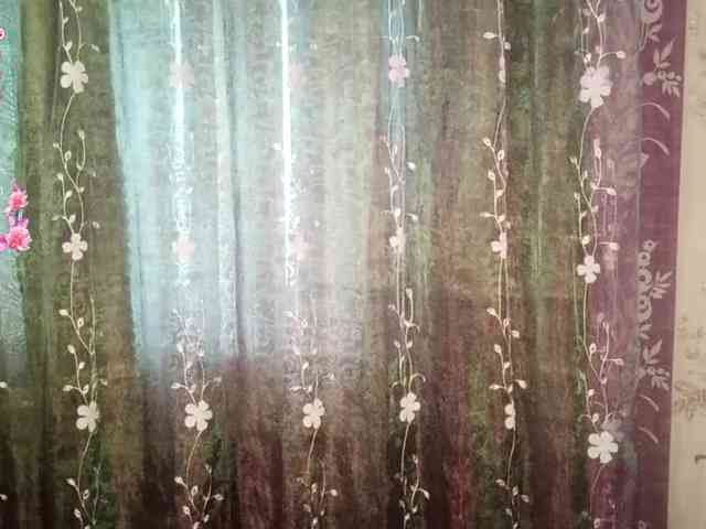 LeonaZdenek webcam
