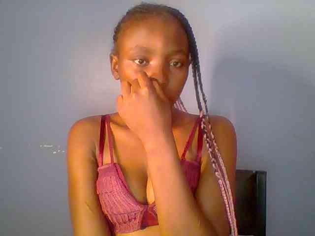 chocolate-brownie webcam