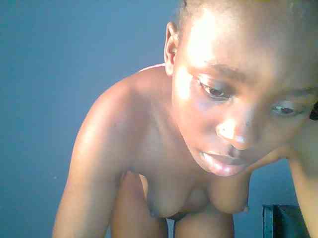 chocolate-brownie webcam