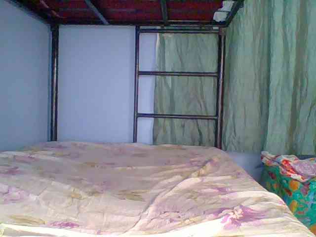 chocolate-brownie webcam