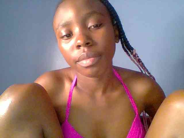 chocolate-brownie webcam