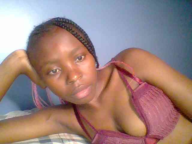 chocolate-brownie webcam