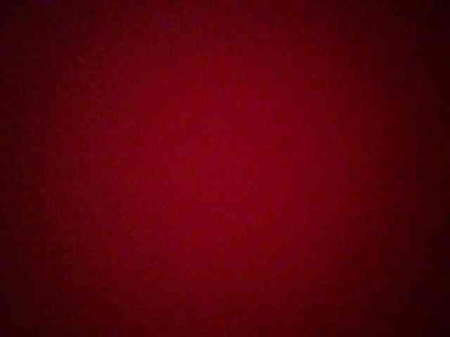 chocolate-brownie webcam