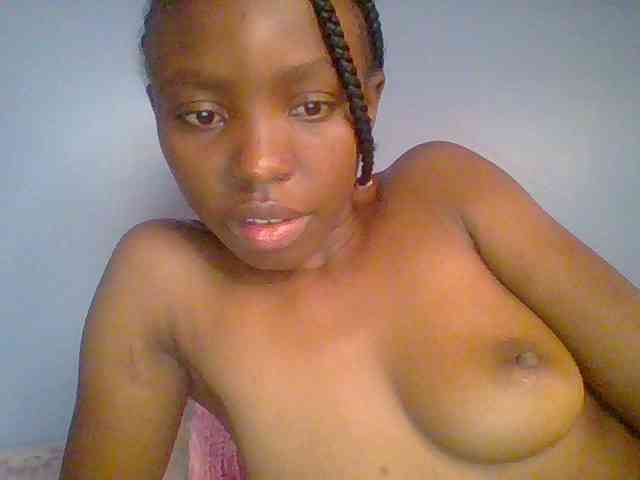 chocolate-brownie webcam