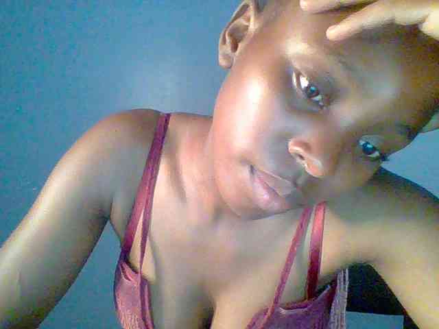 chocolate-brownie webcam