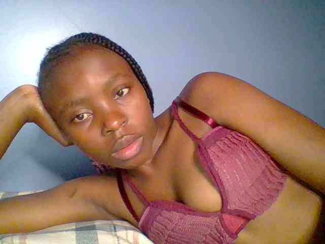 chocolate-brownie webcam