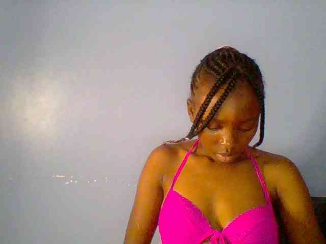 chocolate-brownie webcam