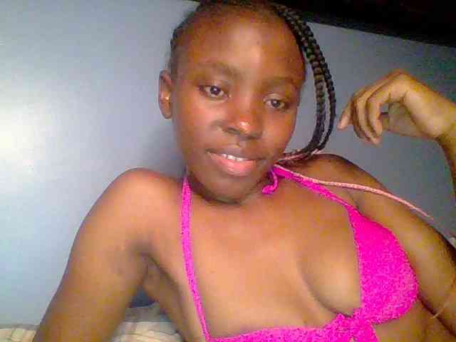 chocolate-brownie webcam