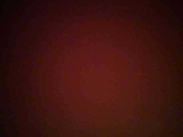 chocolate-brownie webcam