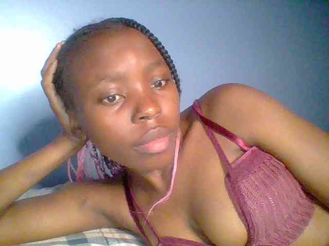 chocolate-brownie webcam