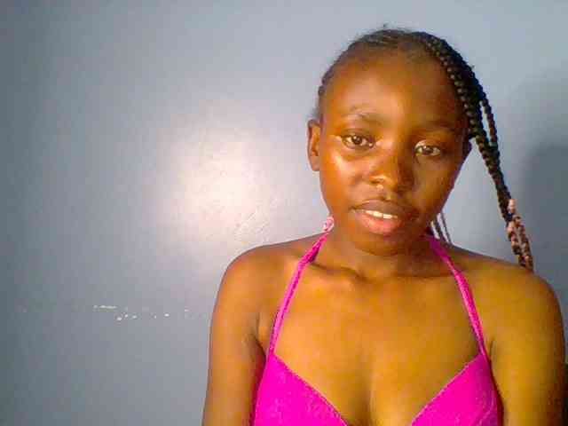 chocolate-brownie webcam