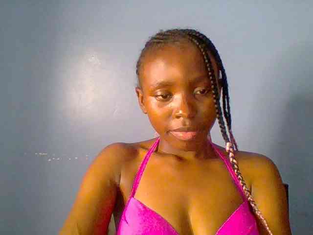 chocolate-brownie webcam