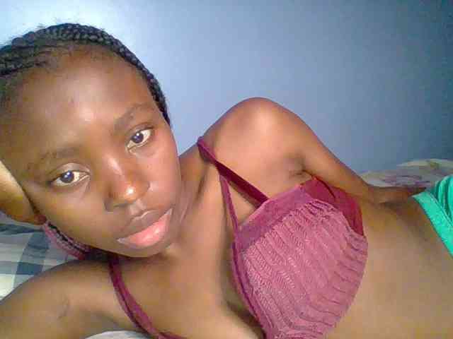 chocolate-brownie webcam