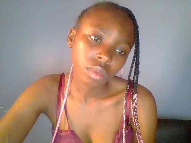 chocolate-brownie webcam