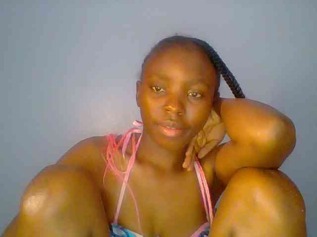 chocolate-brownie webcam