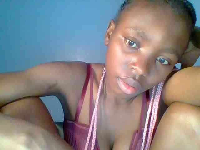 chocolate-brownie webcam