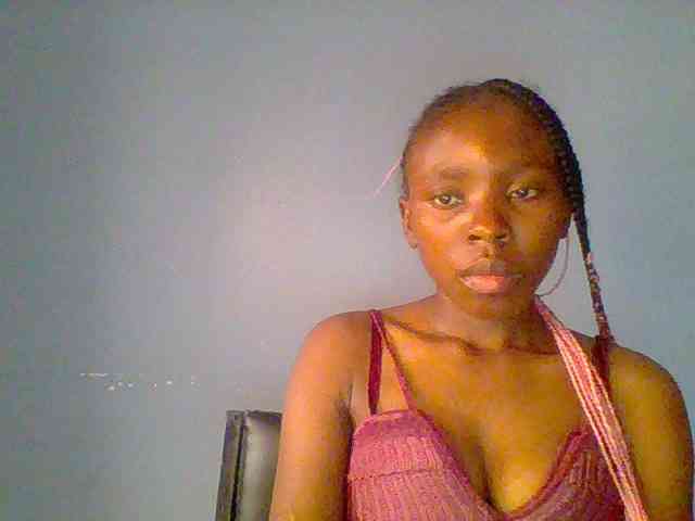 chocolate-brownie webcam