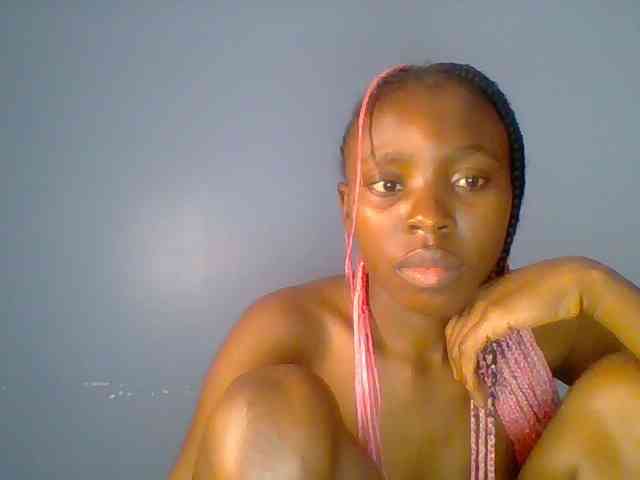 chocolate-brownie webcam