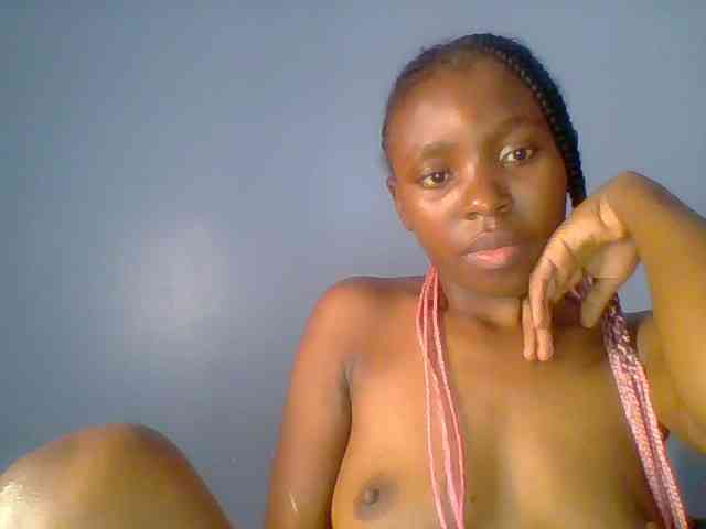 chocolate-brownie webcam