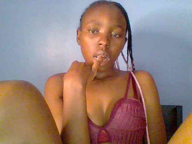 chocolate-brownie webcam