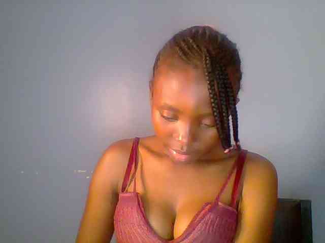 chocolate-brownie webcam