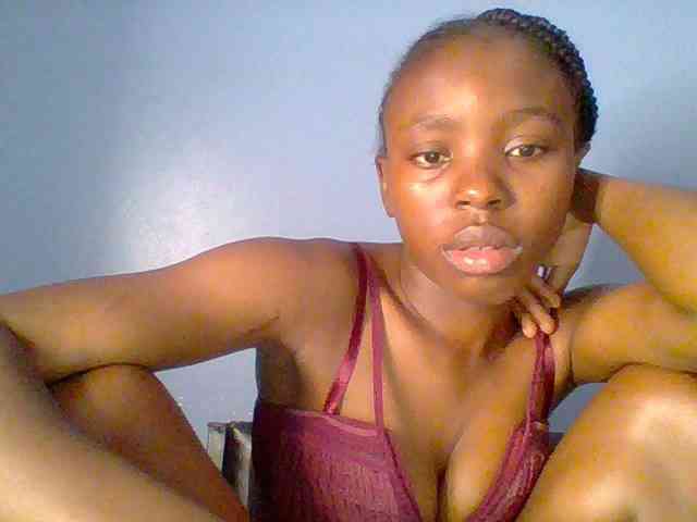 chocolate-brownie webcam