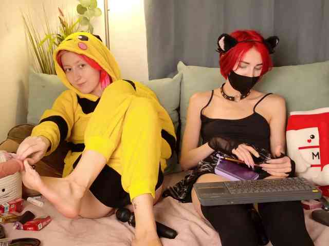 Bloom-and-Shen webcam