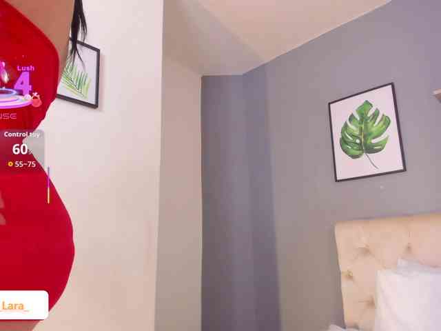 soe-lara webcam