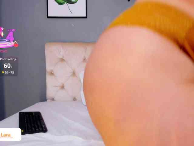 soe-lara webcam