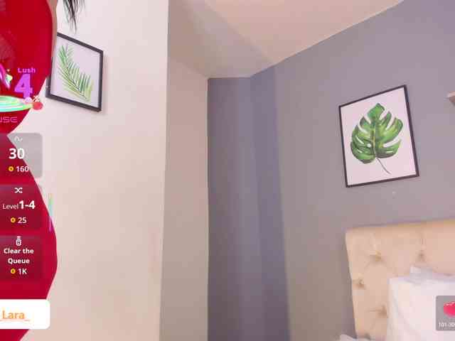 soe-lara webcam